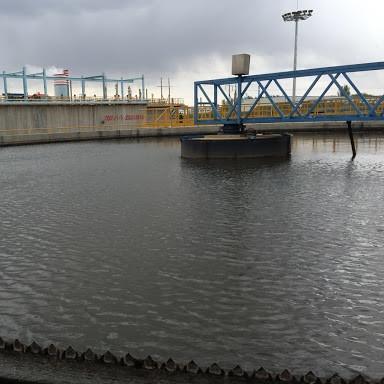 Quality Peripheral Transmission Sludge Scraper System , Stainless Steel Bottom Sludge Scraper for sale