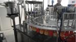 Automated Stand Up Pouch Filling & Capping Unit Making Machine / Production Line