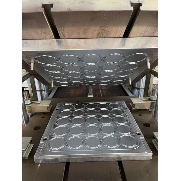 FIG 602/1002/1502 Colorful NBR HNBR FKM PTFE Hammer Union Seal Accept Custom