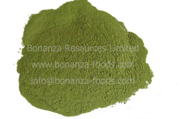 Quality Air Dried Celery Flour Dehydrated Celery Stalk Powder for sale