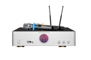 Built In Wireless Microphone And DSP Digital Power Amplifier 250Wx2 Class D