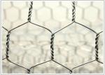 8x10cm 2 X 1 X 1m Twisted Pvc Coated Hexagonal Wire Mesh