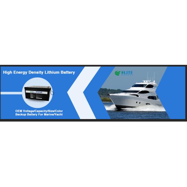 Lithium Iron Phospahte 1280Wh 12V 100Ah LiFePO4 Battery 5000 Cycles