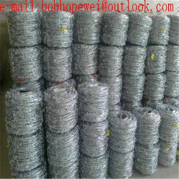 Quality PVC coated barbed wire/barb wire fencing/Factory Direct Sales Hot Dipped Galvanized Barbed Wire/barbed wire mesh fence for sale