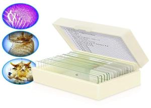 DIY Plant Glass Medical Lab OEM Biology Microscope Slides For Research