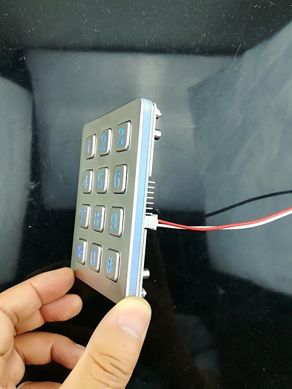 Panel mounted digital keypad for telephone entry system