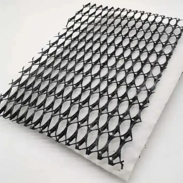 High Drainage HDPE Mesh Drainage Geonet 3D Composite Drainage Mat for Railways Highways