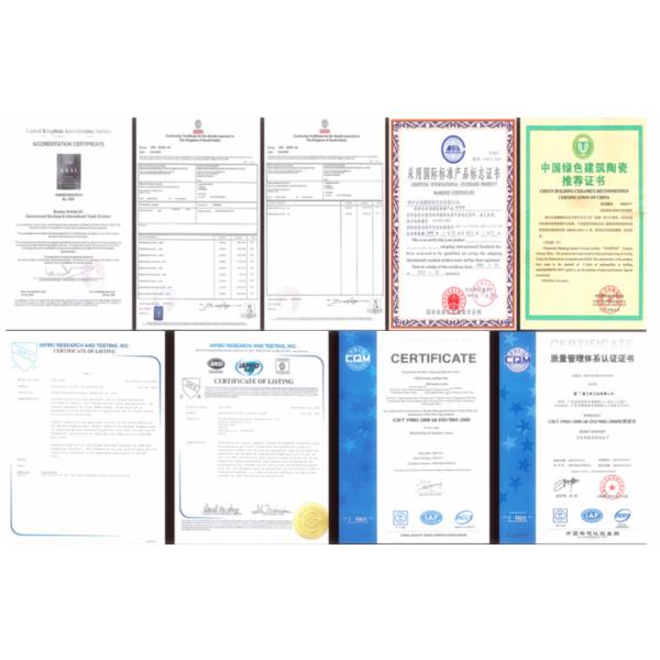 5 Functions Hand Shower Head