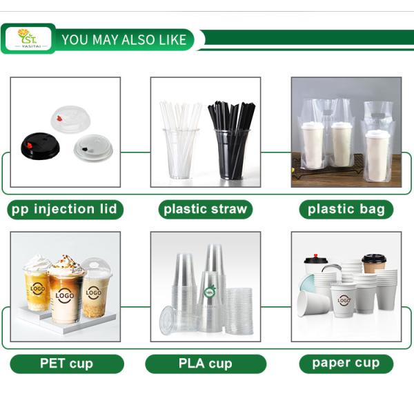 16oz PLA Disposable Cups Plastic Black Custom Beer Pong Cups Fda Approved