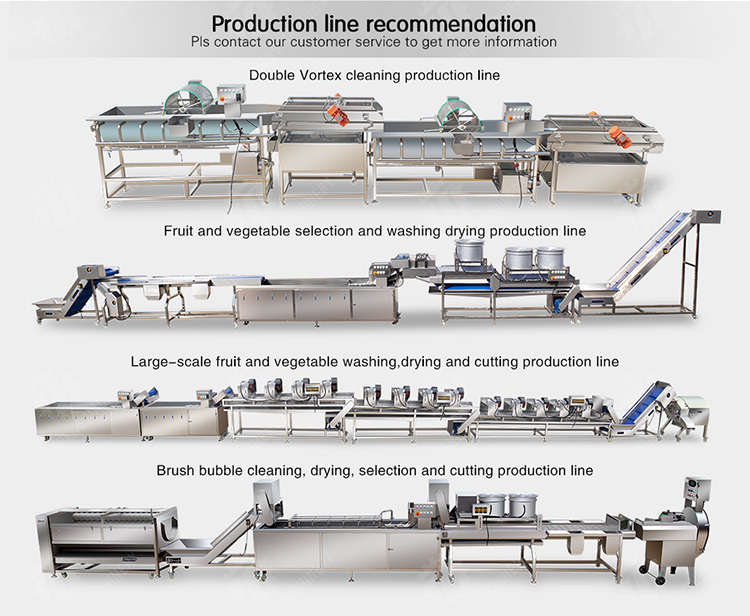 Bubble washing vibration air drying production line Orange Vegetable Herbs Fruit processing production Machine