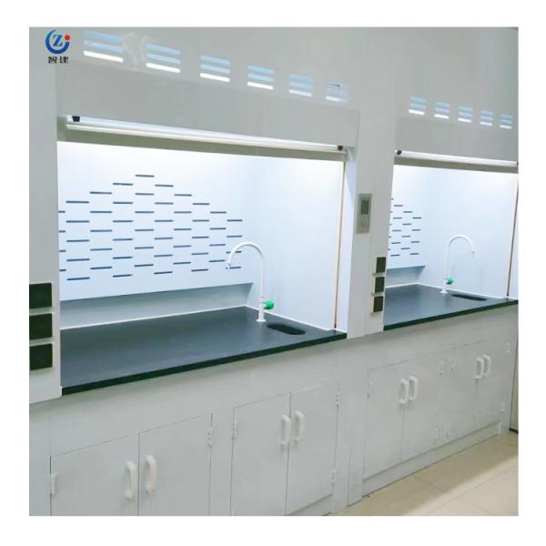 Quality High Airflow Steel Fume Hood With LED Lighting Safety ISO Certified for sale