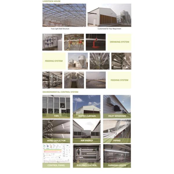 Q235 Steel Structure Poultry House Corrugated Color Steel Sheet Bolted Connection