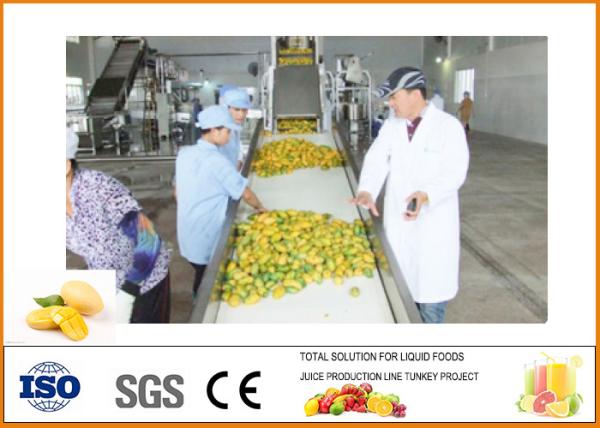 Quality CFM-M-03-03T 3T/H Mango Processing Line Professional and High Efficiency for sale