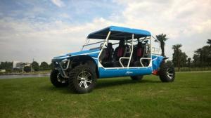 50kw 1100cc Gas Powered Utility Vehicles With 4 Seats Blue / Green