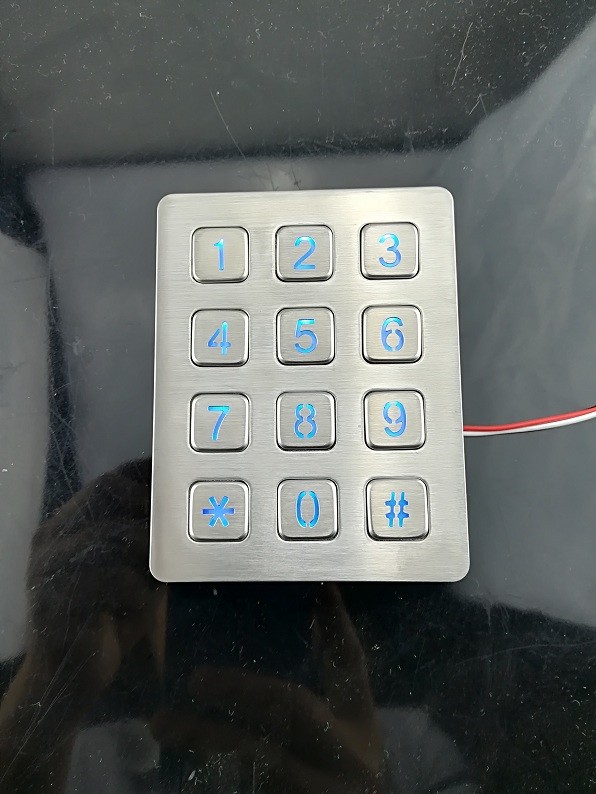 Panel mounted digital keypad for telephone entry system