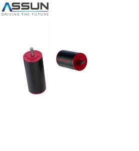 Speed Driver 6000 Rpm Bldc Motor , Coreless 24v Brushless Motor