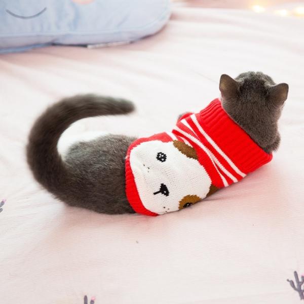 Quality Customized Pattern Cat Wearing Sweater , Designer Cat Clothes Size XS - XXL for sale