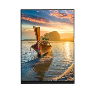 China 7.9 Inch 1536×2048 LCD Screen Display Panel LQ079L1SX01 For IPad Mini 2 3 on sale