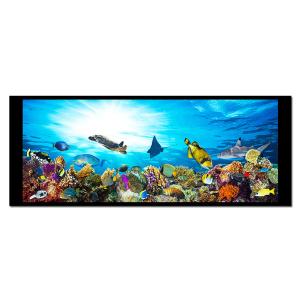 Buy cheap 6.8 Inch Hight-Brightness TFT LCD Display LVDS Interface product
