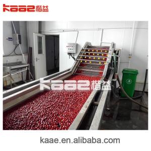 Buy cheap Fully automatic Dates Processing Machine CE jujube deep processing production line product