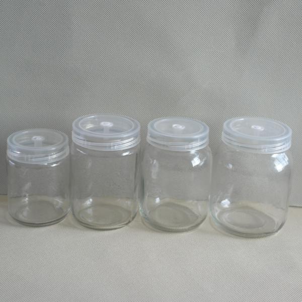 plant tissue culture glass jar with plastic cap