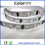 DC5V 60led/m individual controlled UCS2912 addressable RGBW LED strip