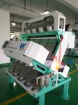 3t/h 4 Chutes Multi Grain Sorting Machine for Barley Wheat