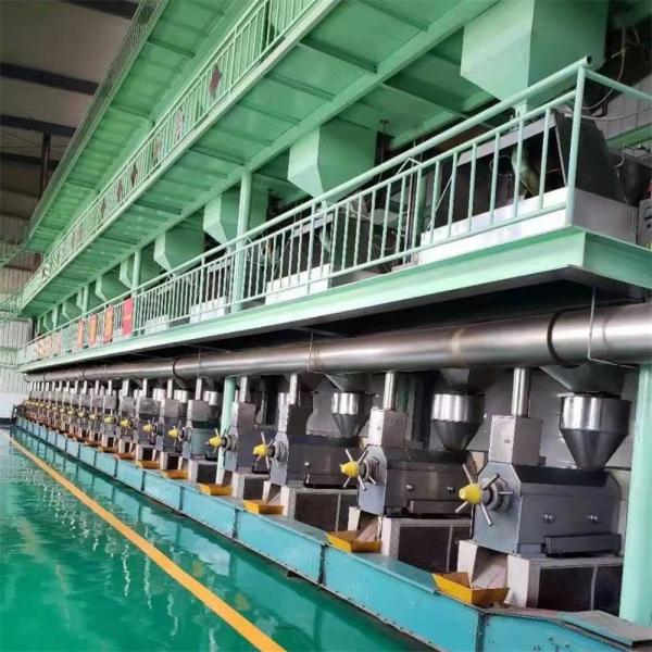 Automatic Control Cold Press Oil Extraction Machine Commercial Cold Oil Press Machine