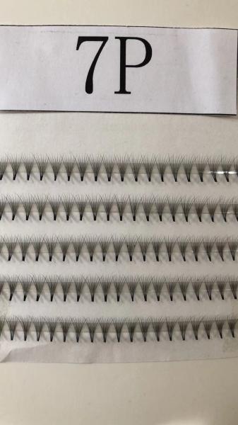 Quality Pre Made Fans Silk Eyelash Extensions  5D 6D 7D 8D Customized Thickness for sale