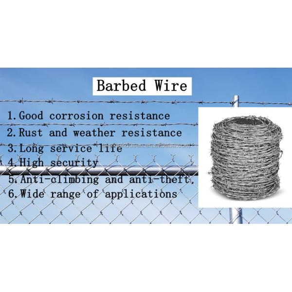 Affordable Safety Fence Barbed Wire with 1.6-3.2mm Wire Diameter and Two Wire Twist