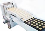 Multi Shape Biscuit Processing Line, Biscuit Making Machine, Commercial Biscuit