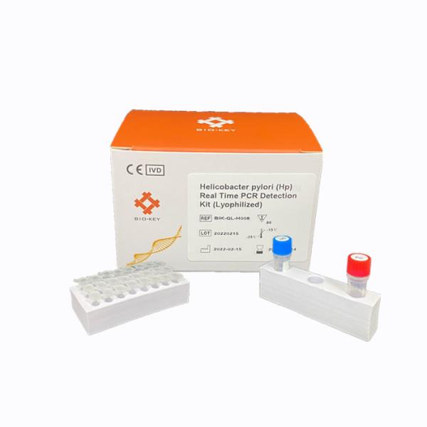 Quality Gastrointestinal Disease Molecular Diagnostic Helicobacter Pylori  Hp PCR Detection Kit for sale