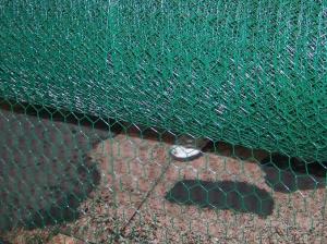 China farm 1/2inch Pvc Coated Hexagonal Wire Mesh BWG27 on sale