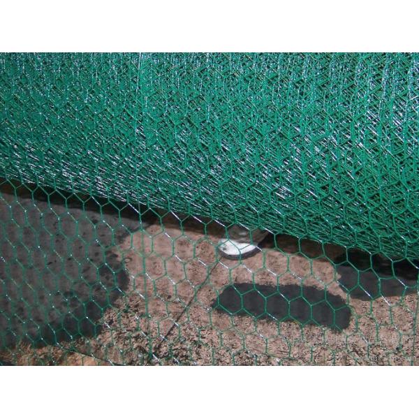 BWG 21 3/4 Inch 19mm Galvanized Hexagonal Wire Mesh