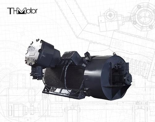 Quality YBBP High Voltage Flameproof Electric Motor H560 Variable Frequency VFD for sale