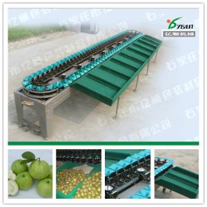 Buy cheap Fruit Sorting and Grading Machine for Guava/Apple|Pear|Orange|Peach|Kiwi fruit product