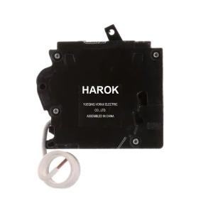 20 Amp AFCI/GFCI Dual Function Circuit Breaker