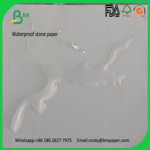 China New Technology 120gsm 144gsm 168gsm Roll Synthetic Paper on sale