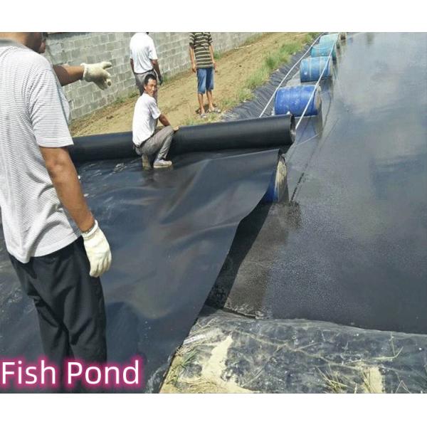 High Density Polyethylene EVA Fish Pond Liner 0.5mm 1mm for Modern Design Style as per