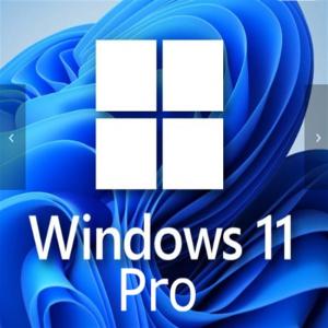 Buy cheap Windows 11 Professional 1 User Key For Small Businesses Enhanced product