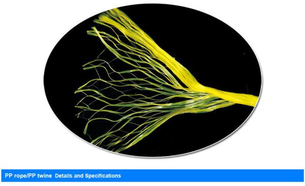Quality Agriculture Use 4KG PP Banana Twine With High Tenacity UV Additive for sale