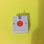 Panic Buttons with Key in Output:NO & NC for siren horn strobe lights