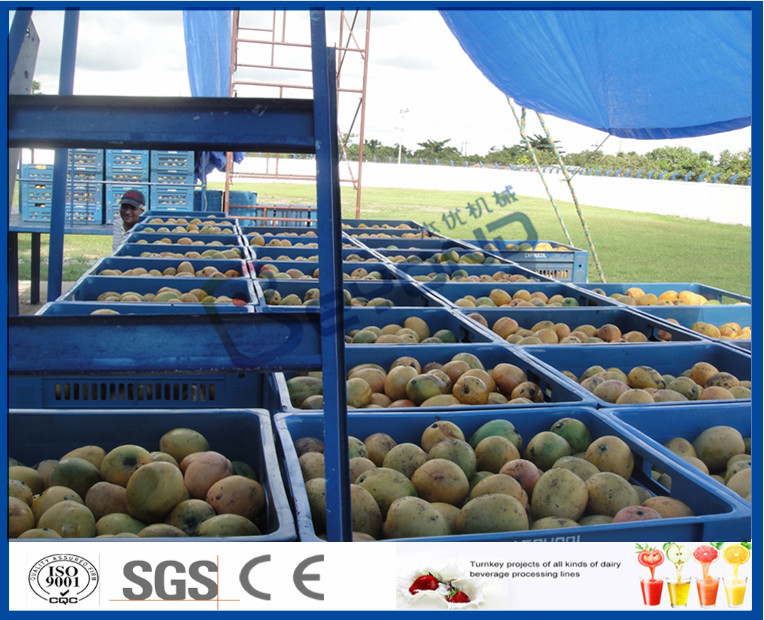 Tubular UHT Sterilizing Mango Processing Line With Aseptic Filling Machine
