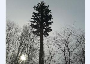 Buy cheap Camouflaged Bionic Pine Palm Tree Monopole Tower product
