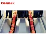 Citrus pear Orange Juice SUS304 Automatic Fruit Sorting Machine adopting