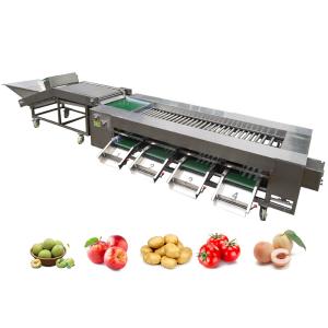Industrial Automatic Roller Sorting Machine For Sorting And Grading