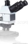Iris Diaphragm Metallurgical Optical Microscope , Dark Field Microscopy PL100 /