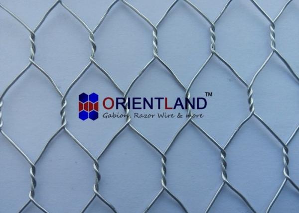 Quality 3/4" Chicken Wire Cloth , Hot Dipped Galvanized Poultry Netting Strong Structure for sale