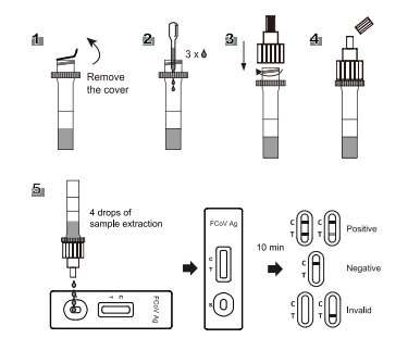 FCoV Antigen Rapid Test Cassette Ascites / Hydrothorax