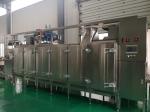 Ss304 Multifunctional Continuous Peanut Roaster Machine